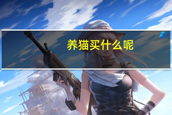 养猫买什么呢
