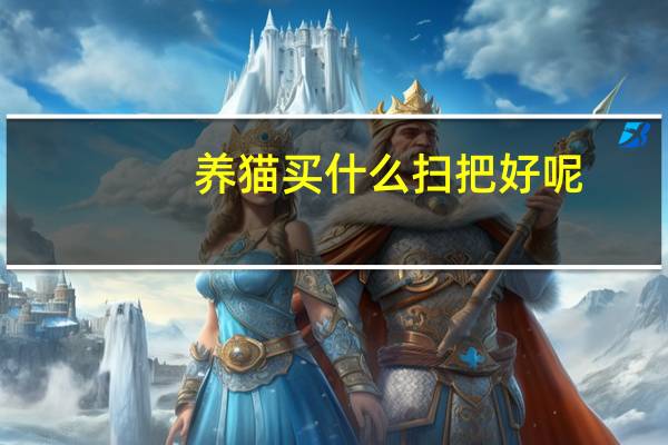 养猫买什么扫把好呢