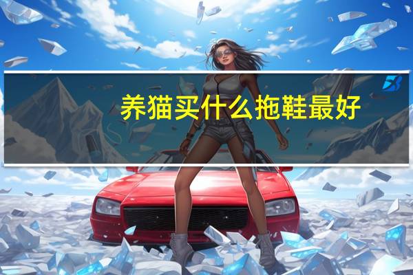 养猫买什么拖鞋最好