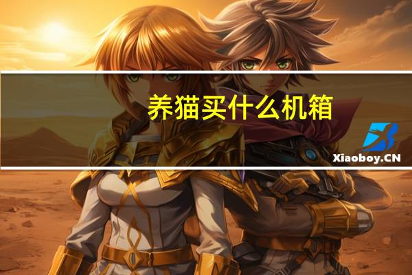 养猫买什么机箱