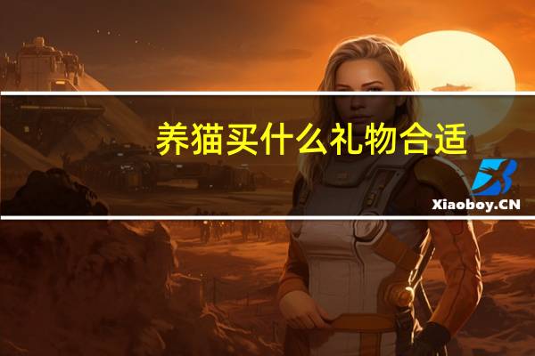 养猫买什么礼物合适