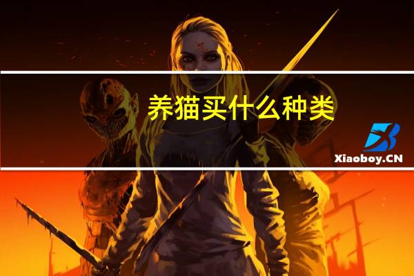 养猫买什么种类