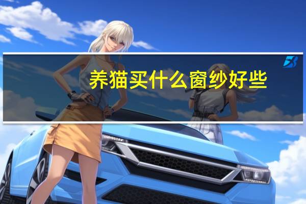养猫买什么窗纱好些