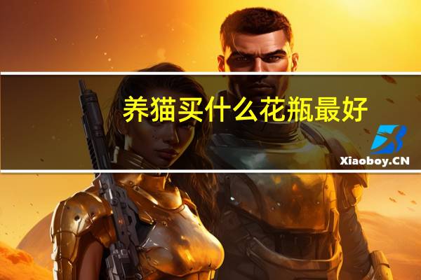 养猫买什么花瓶最好