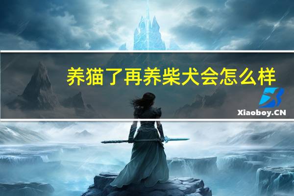 养猫了再养柴犬会怎么样