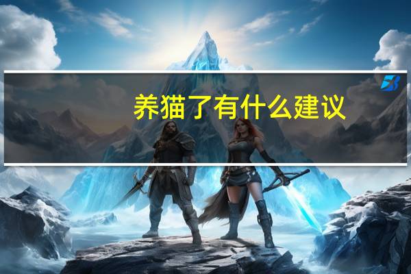 养猫了有什么建议