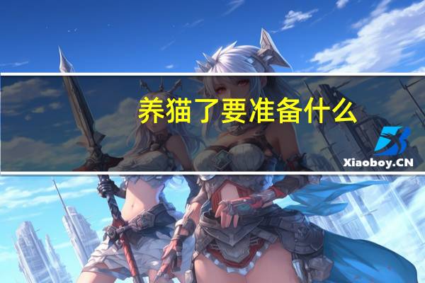 养猫了要准备什么