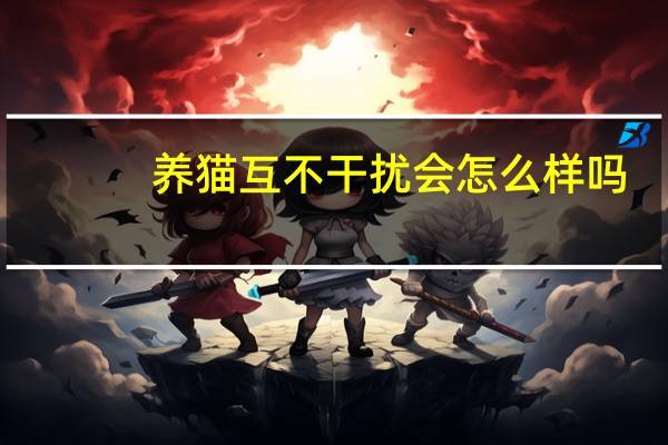 养猫互不干扰会怎么样吗