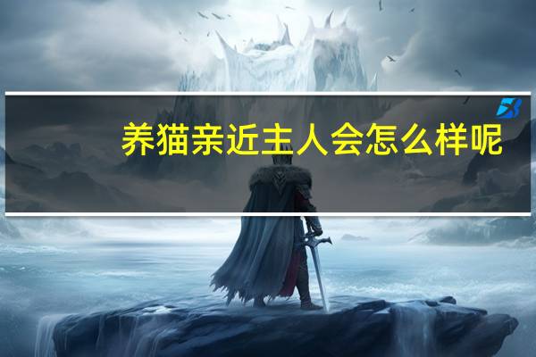 养猫亲近主人会怎么样呢