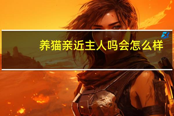 养猫亲近主人吗会怎么样