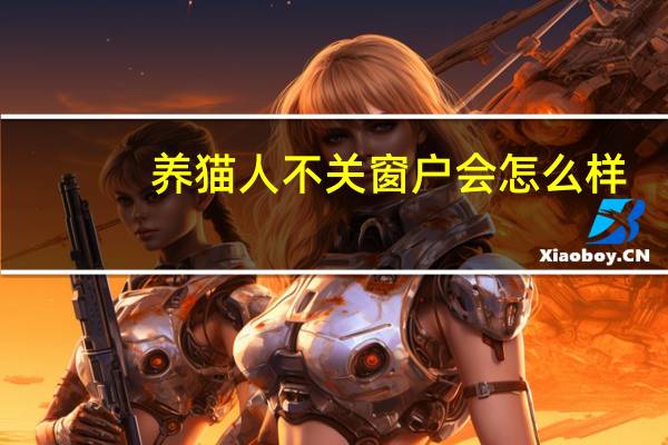 养猫人不关窗户会怎么样