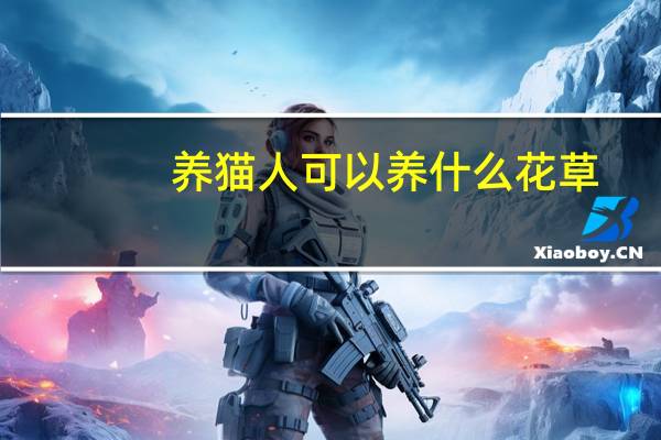 养猫人可以养什么花草