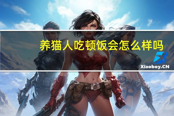 养猫人吃顿饭会怎么样吗