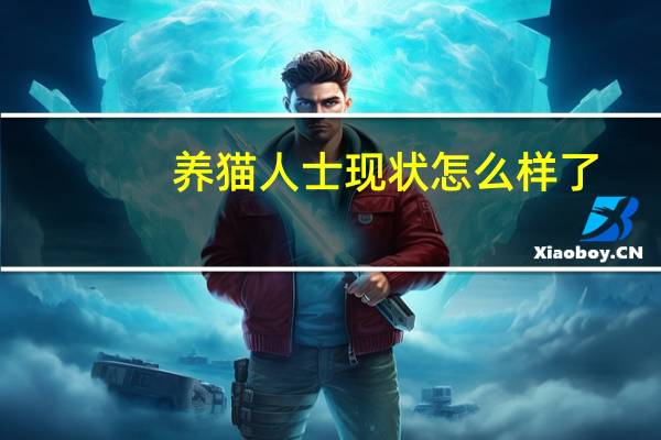 养猫人士现状怎么样了