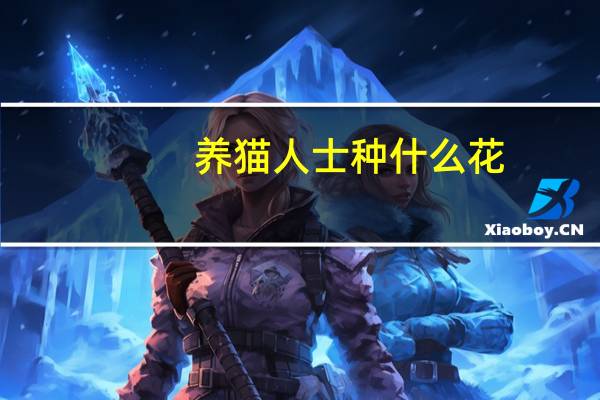 养猫人士种什么花