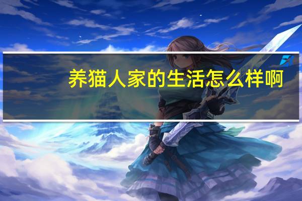 养猫人家的生活怎么样啊