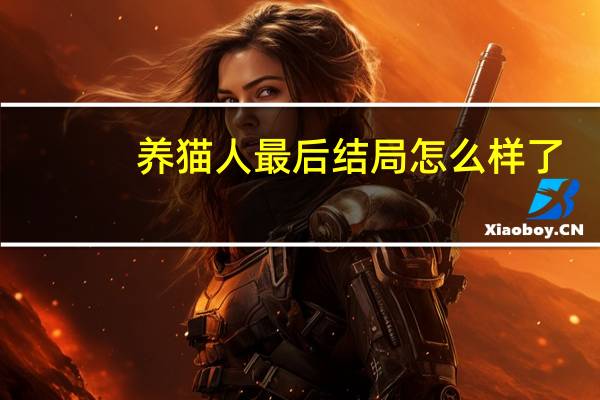 养猫人最后结局怎么样了