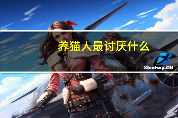 养猫人最讨厌什么