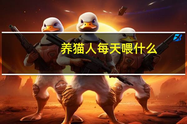 养猫人每天喂什么