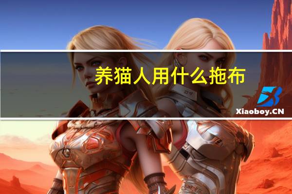 养猫人用什么拖布