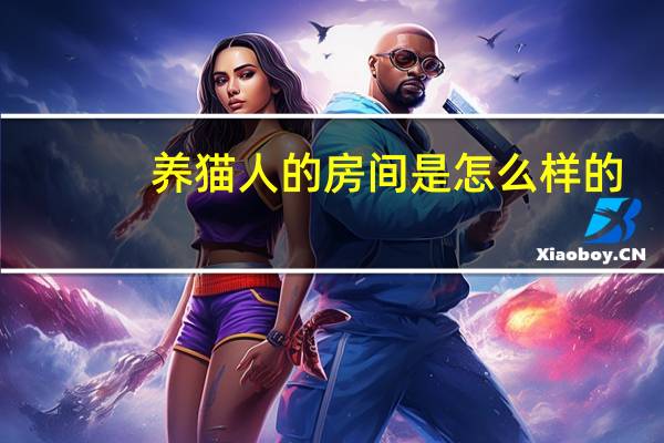 养猫人的房间是怎么样的