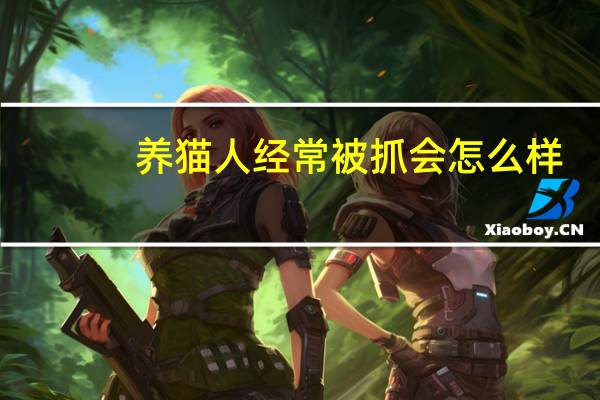 养猫人经常被抓会怎么样