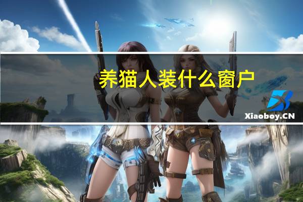 养猫人装什么窗户