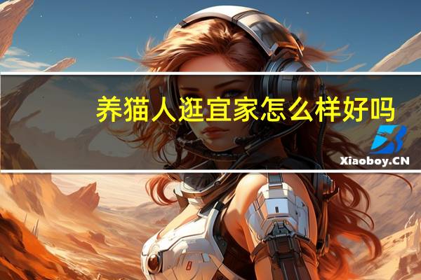 养猫人逛宜家怎么样好吗