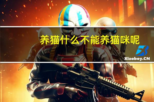 养猫什么不能养猫咪呢