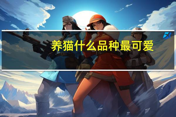 养猫什么品种最可爱