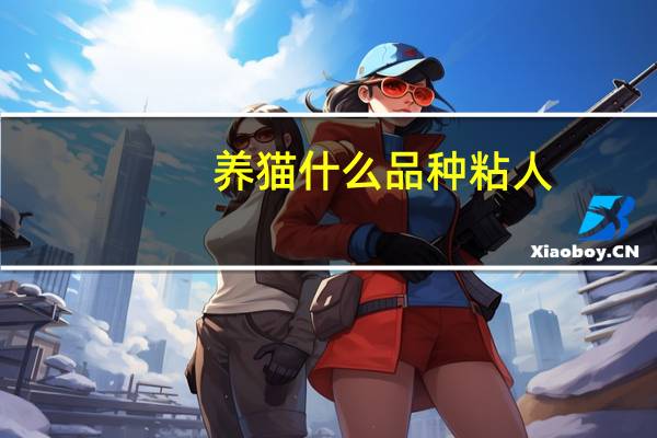 养猫什么品种粘人
