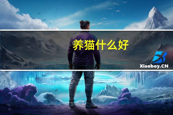 养猫什么好