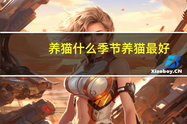 养猫什么季节养猫最好