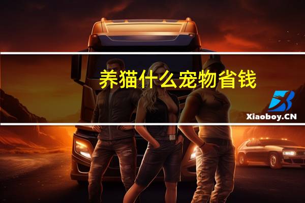 养猫什么宠物省钱