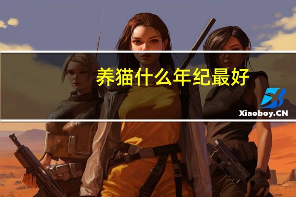 养猫什么年纪最好