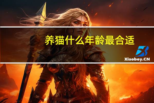 养猫什么年龄最合适