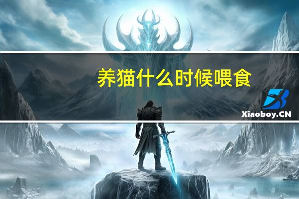 养猫什么时候喂食