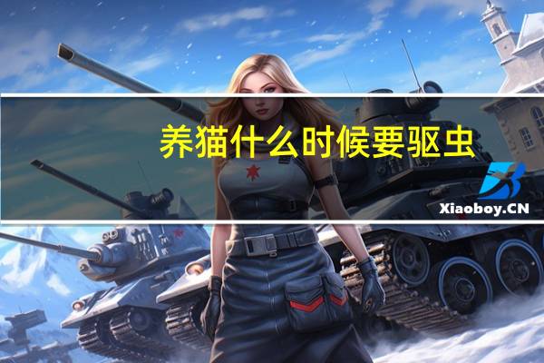 养猫什么时候要驱虫