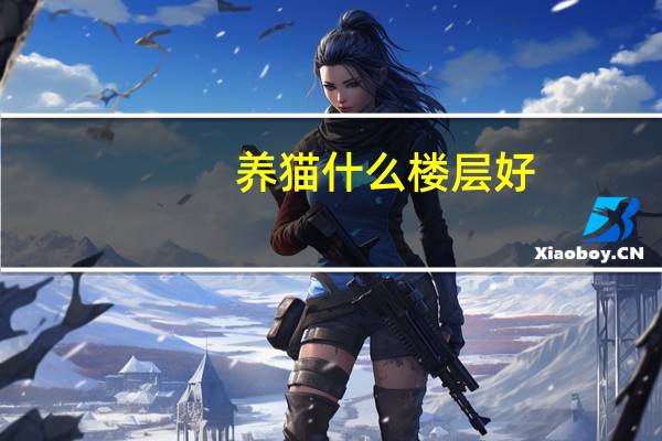 养猫什么楼层好