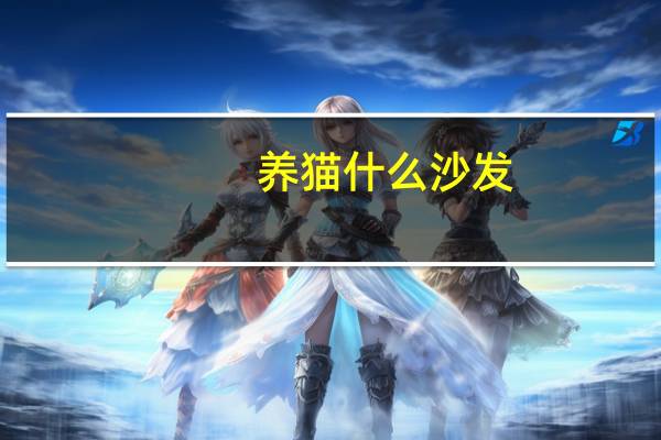 养猫什么沙发