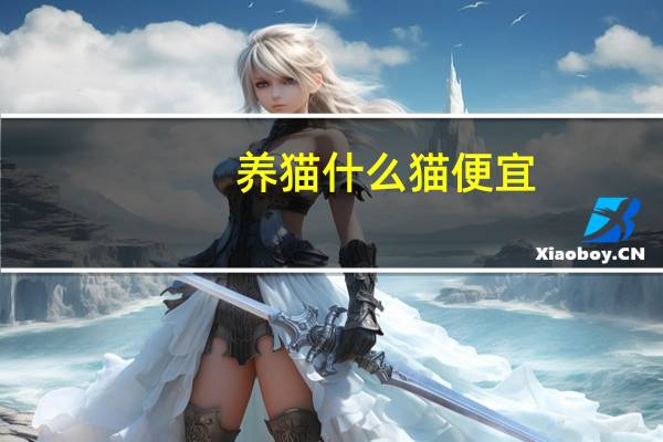 养猫什么猫便宜