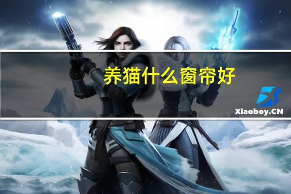 养猫什么窗帘好