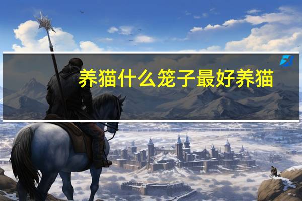 养猫什么笼子最好养猫