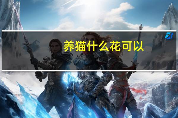 养猫什么花可以