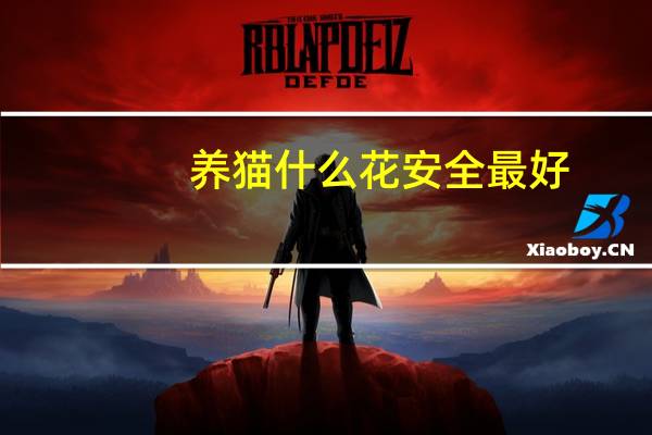 养猫什么花安全最好