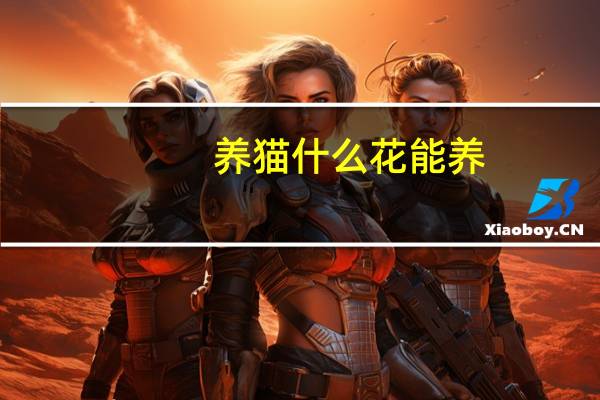 养猫什么花能养