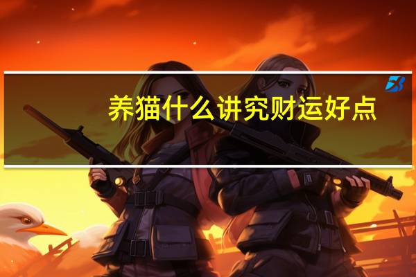 养猫什么讲究财运好点
