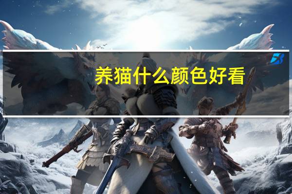 养猫什么颜色好看