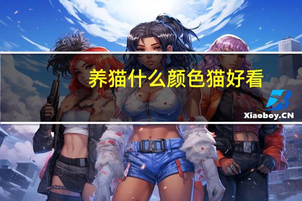 养猫什么颜色猫好看
