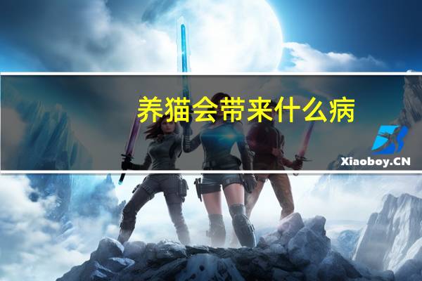 养猫会带来什么病